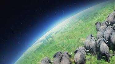 Planet Earth II: Miniseries | Rotten Tomatoes