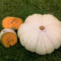 See full list on thoughtco.com Rolet Gem Squash Category