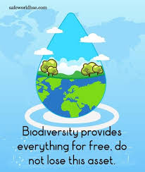 It is observed on 5 june annually worldwide to know about the importance of environment an important aspect to survive on planet ear. World Environment Day 2020 Best Slogans Images And Posters On Biodiversity In 2021 World Environment Day World Environment Day Posters Slogan On Environment