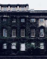 Dark Academia Botanic Academia Aesthetic Dark naturalism is an aesthetic that mixes in the natural world, with its' more darker elements to create an atmosphere of a naturalist mystery. dark academia botanic academia aesthetic
