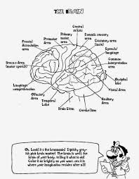 School's out for summer, so keep kids of all ages busy with summer coloring sheets. Anatomy Coloring Book Pages Page 1 Coloring Library