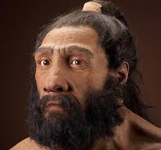 Coexistence of Homo Sapiens and Neanderthals