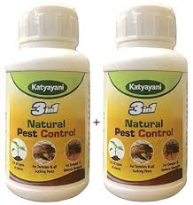 However, in places where cabbage white butterflies are present while cabbage family crops are absent, the cabbage whites will often lay their eggs on nasturtiums instead. Katyayani 3 In1 Organic Pesticide For Plants And Garden Indoor Home Insecticide All In One