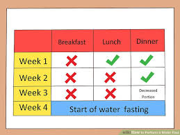 How To Perform A Water Fast 15 Steps With Pictures Wikihow
