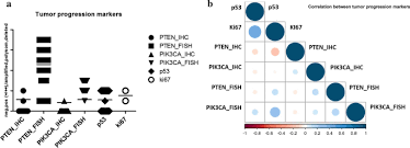 Cancer marker numbers cancer survivors network. Limited Utility Of Tissue Micro Arrays In Detecting Intra Tumoral Heterogeneity In Stem Cell Characteristics And Tumor Progression Markers In Breast Cancer Journal Of Translational Medicine Full Text