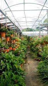 May Nursery Kk Outdoor Nursery Garden Nursery Fun Nursery
