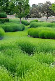 Geniessen Sie Kollektionshof Stile Und Teilen Sie Mir Ihre Gedanken Zu Diesem Gartendesign Mit Garten Design Lavendelgarten Landschaftsdesign