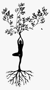 Red cartoon cat on blue mat in yoga position. Yoga Pose And Tree Of Life Drawing Yoga Day Drawing Making Hd Png Download Kindpng