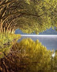 Baldeneysee Essen Germany Lake Earth Photography Photo Instagram