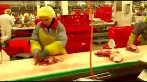 Munca In Fabrici De Carne Joburi Pentru Femei Si Cupluri Sau Barbati Youtube