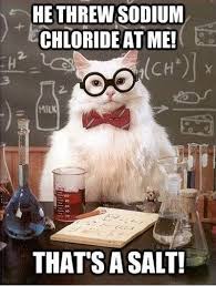 Science Meme He Threw Sodium Chloride At Me That S A Salt Nerdy Jokes Chemistry Cat Nerd Humor