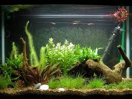 Silakan klik membuat aquarium mini dari botol kaca bekas untuk melihat artikel selengkapnya. Cara Membuat Hiasan Aquarium Kecil Dari Styrofoam Sendiri
