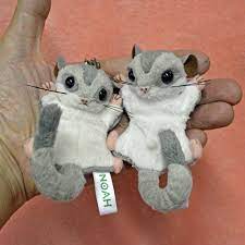 Sugar Glider Pair Plush Cute Realistic Sugar Glider Sugar Glider Toys Sugar Glider Cage