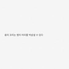 명언 글귀 좋은말 응원 자극 자극글귀 새벽감성 감성글귀 공부 공부자극 공부글귀 인생 조언 Text 메모 글귀모음 응원글 명언글귀 2020 영감 인용구 명언 힘을 주는 명언