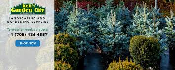 Our great landscaping and lawn maintenance services meet the needs of homeowners and businesses with properties of all sizes. Kell S Garden City