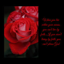 When You Live Within Your Means You Can T Live By Faith If You Aren T Living By Faith You Can T Please God Faith Rose Living Within Your Means