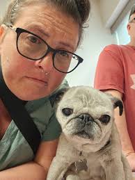 Arizona Chihuahua Rescue mourns loss of Gracie