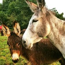 We did not find results for: Lapte De Magarita Home Facebook