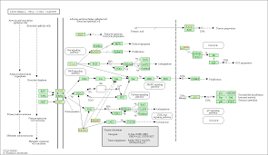 I understand … read more Kegg Pathway Non Small Cell Lung Cancer Felis Catus Domestic Cat