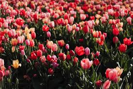 Mothers day a mother loves right from the start she holds her baby close to her heart the bond that grows will never falter her love is so strong it will never this is probably my mother prayer in heaven this mothersday. 14 Ways To Say Happy Mother S Day In Heaven Mom Cake Blog