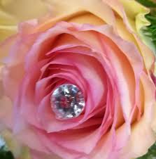 Immagini gif fiori di compleanno fiori per gli auguri di. Bottega Dei Fiori Startseite Facebook