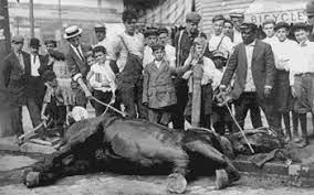 Beating A Dead Horse Know Your Meme