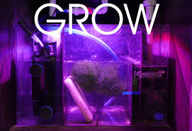 Check spelling or type a new query. Led H80 Tuna Flora Tunze