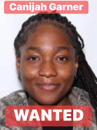 ONE SUSPECT ARRESTED AND TWO ON THE RUN IN MULTI-COUNT VEHICLE BREAK-IN  CASE SPANNING TWO COUNTIES Franklin County Sheriff's Office has charged  three individuals in connection to a string of vehicle break-ins