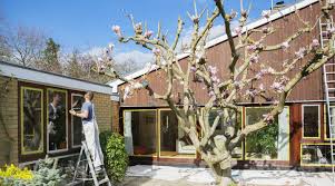 The key to choosing exterior house colors is to be unique in your selections but still bnd in beautifully with. Exterior Paint Color Palette Ideas And Tips For Spring Dunn Edwards