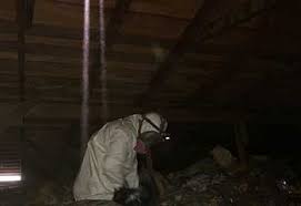 Save your self the trouble of cleaning up itchy fiber glass, let us take care of the mess! Attic Cleaning San Bruno Ca Top Quality Cleaning Insulation Services