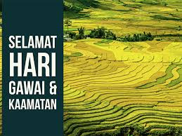 Urang ngabang urang ngirup urang mabuk bisi magang diak. News Announcements Selamat Kaamatan