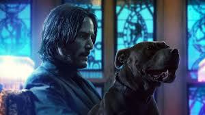 John wick 3 was released on may 17, 2019, and the sequel. John Wick 4 Cast Plot And Release Dates