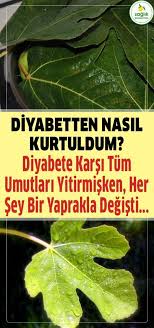 Diyabetten Nasil Kurtuldum Saglik Sifa Incir Yaprak Seker Hastaligi Diyabet Health Fitness Nutrition Fitness Nutrition Health