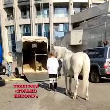 1 day ago · рэпер моргенштерн с размахом сыграл свадьбу со своей возлюбленной диларой зинатуллиной. Pnhv68jp38tvom