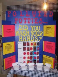 Biology Science Fair Projects Ideas How To Set Up A Science Fair Project Board Science Fair Projects Boards Science Fair Projects Science Fair
