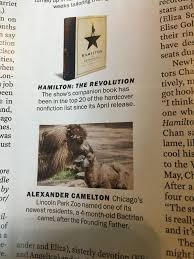 If I Was A Zookeeper There Would Be A Thousand Hamilton Camels Like Cafayette And I D By Like 30 Ca Hamilton Funny Hamilton Musical Hamilton Lin Manuel Miranda