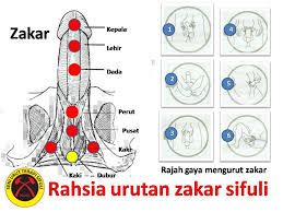Dikatakan mereka ini bakal memperolehi kejayaan cemerlang dalam dua kerjaya atau apa juga yang diceburi oleh mereka nanti, mengikut garis yang terpamer di. Urutan Zakar Untuk Kesihatan Jiwa Sifuli Terapi