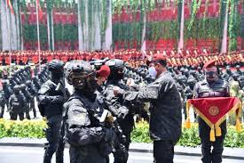 Www.4replicawatch.net contoh dan syarat membuat skck surat keterangan catatan source: Syarat Dan Tata Cara Pendaftaran Calon Taruna Stin Indonesia College