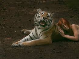 Which Animal Do You Transform Into What Animal Are You Animals Animals Beautiful