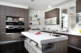 contemporary kitchen design