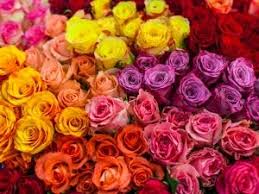 It always helps to understand the meanings of different flowers before you send them. Wedding Flowers And Meanings Behind Them Smartest Brides