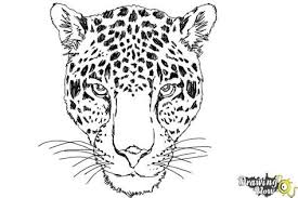 Maybe you would like to learn more about one of these? Simple Cheetah Drawing Shefalitayal