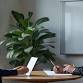 Interview Skills Workshop - FREE event image