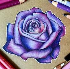 Pin By Terry Smith On Flowers Color Pencil Drawing Color Pencil Art Roses Drawing