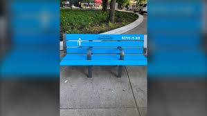 Stigmatizing Benches Installed In Cabot Square To Be Removed Immediately Plante Ctv News