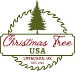 Downtown Christmas Tree Lighting