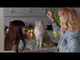 Making Of Nine Lives Kevin Spacey Turns Into A Cat Kids Flix 9lives Barrysonnenfeld Behindthescenes Cat Cats Cgi Cherylhines