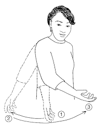 Simplified Signs 11 The Simplified Sign System Lexicon