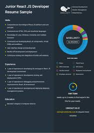 Angular, javascript, ruby on rails, software, software development, structured query language, html, css. React And Node Js Developer Resume Samples React Resumes