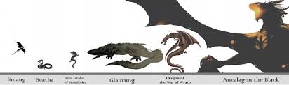 Dragons Of Middle Earth Size Chart In 2019 Dragons Of